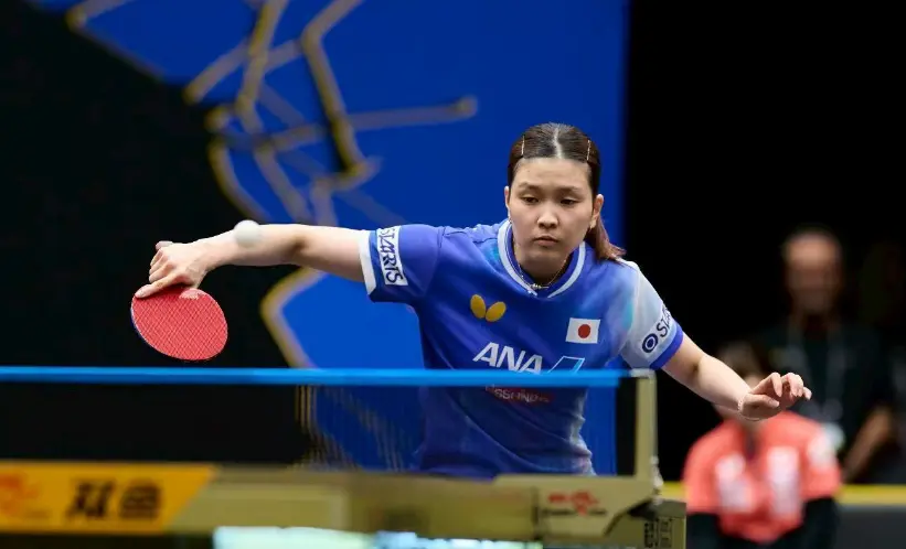 entit, 势九朵金花