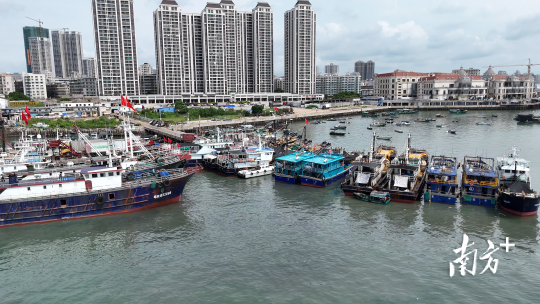 试试反应, 明天开渔, 开启新一轮