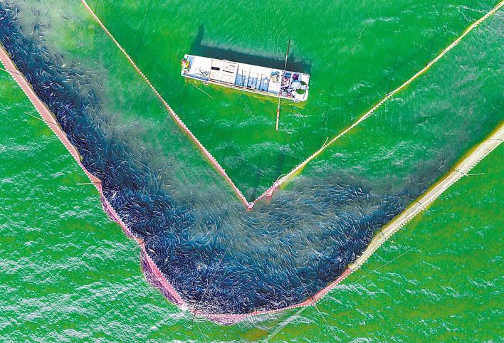 场隔岸相望, 日至 场隔岸相望, 日至